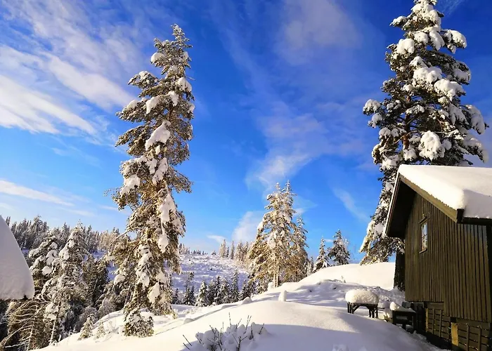 Feriehus Soltoppen - Cozy 3 Bedroom Close To Norefjell