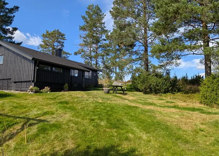 Soltoppen - Cozy 3 Bedroom Close To Norefjell * Raen
